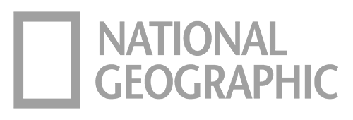 ng-logo